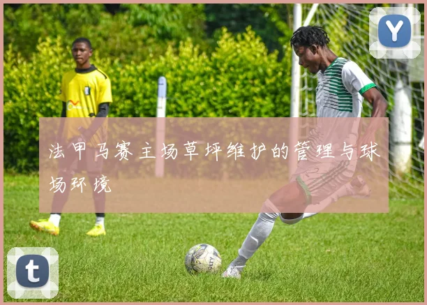 法甲马赛主场草坪维护的管理与球场环境