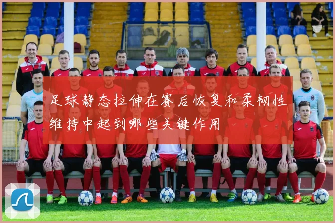 足球静态拉伸在赛后恢复和柔韧性维持中起到哪些关键作用