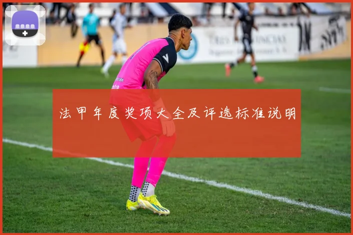 法甲年度奖项大全及评选标准说明
