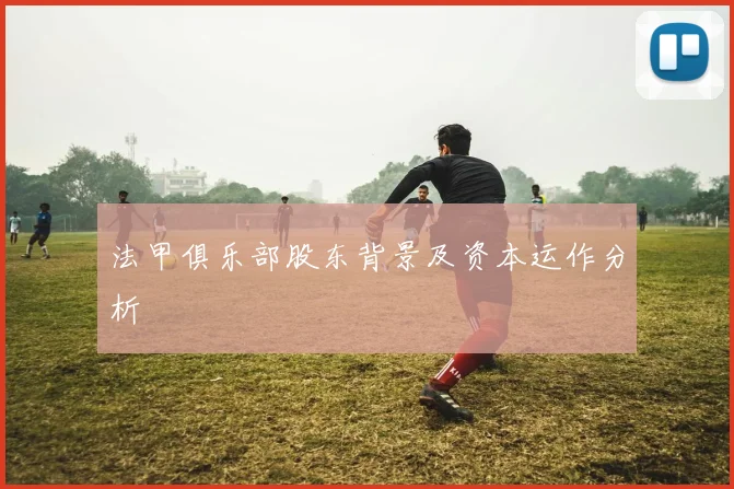 法甲俱乐部股东背景及资本运作分析