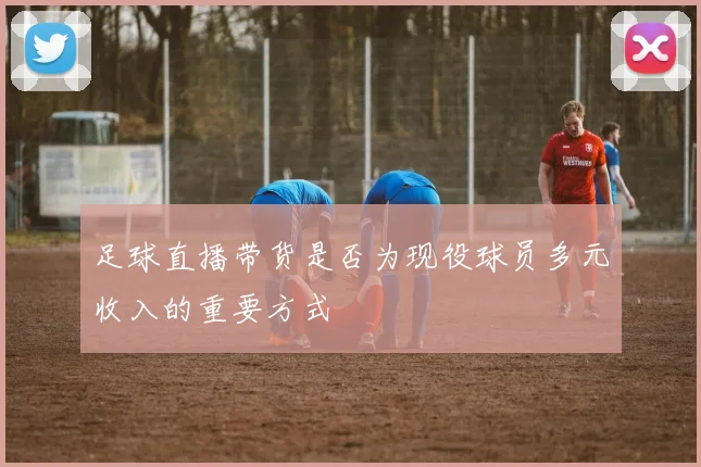 足球直播带货是否为现役球员多元收入的重要方式